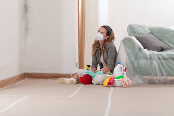 Reliable Mold Remediation contractor in Ocala Estates, FL by 24 Hour Mold Removal